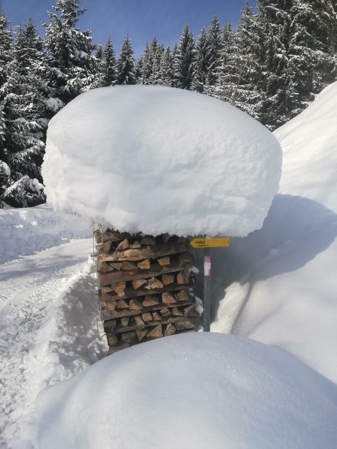 Holzfällerhaus Melkstatt Villa Auffach Exteriör bild